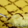 Receita de Arroz Doce Português