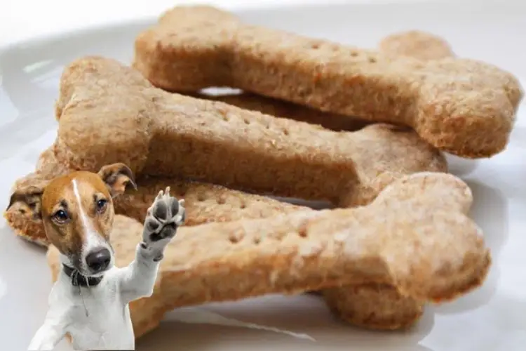 Receita de Biscoito Canino Caseiro