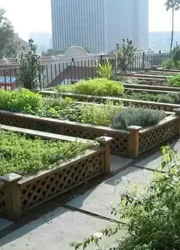 Guia Completo para a Horta Urbana