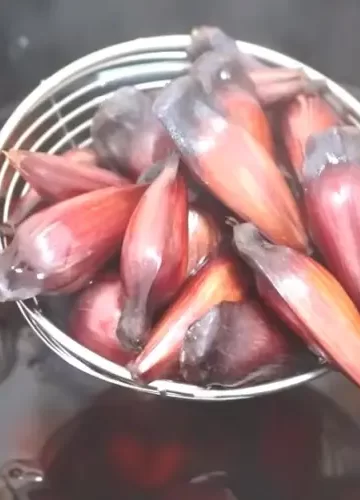 Pinhão cozido na panela de pressão