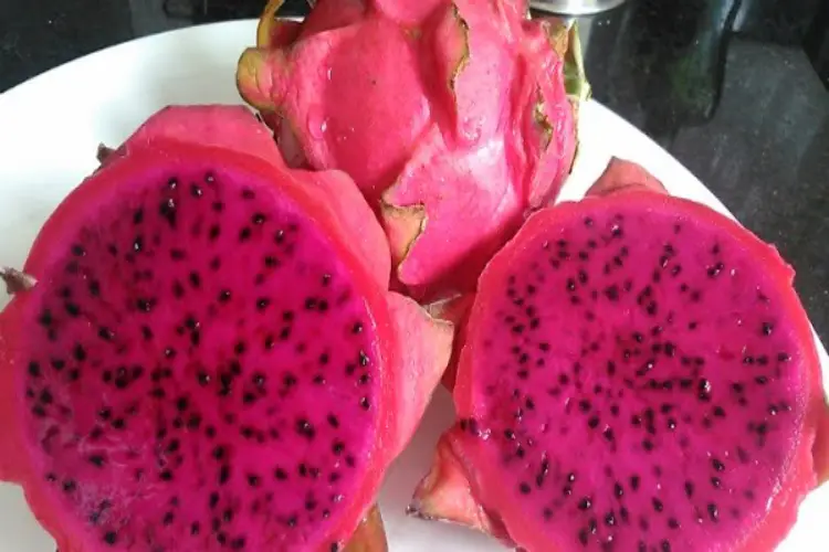 Conheça Pitaia (Pitaya) a fruta dragão (dragon fruit)