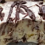 Receita de Sorvete Trufado de leite Ninho