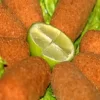 Croquetes de Carne